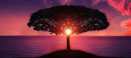 Contacter Aurélie Baumlin