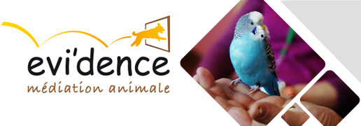 L'association evi'dence